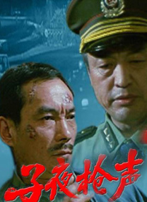 久久精品二区